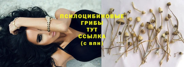 герыч Арсеньев
