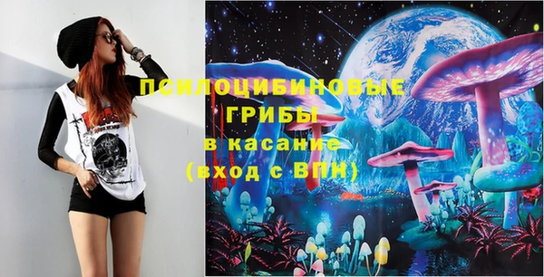 тгк Армянск