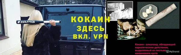 герыч Арсеньев