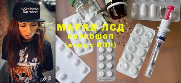 spice Лагань