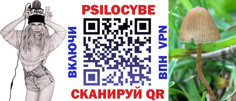 купить наркотик  Верхняя Пышма  Галлюциногенные грибы прущие грибы 